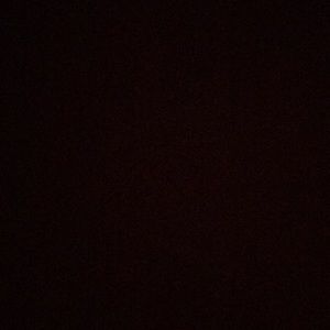 Meet your Posher, Cheyenne